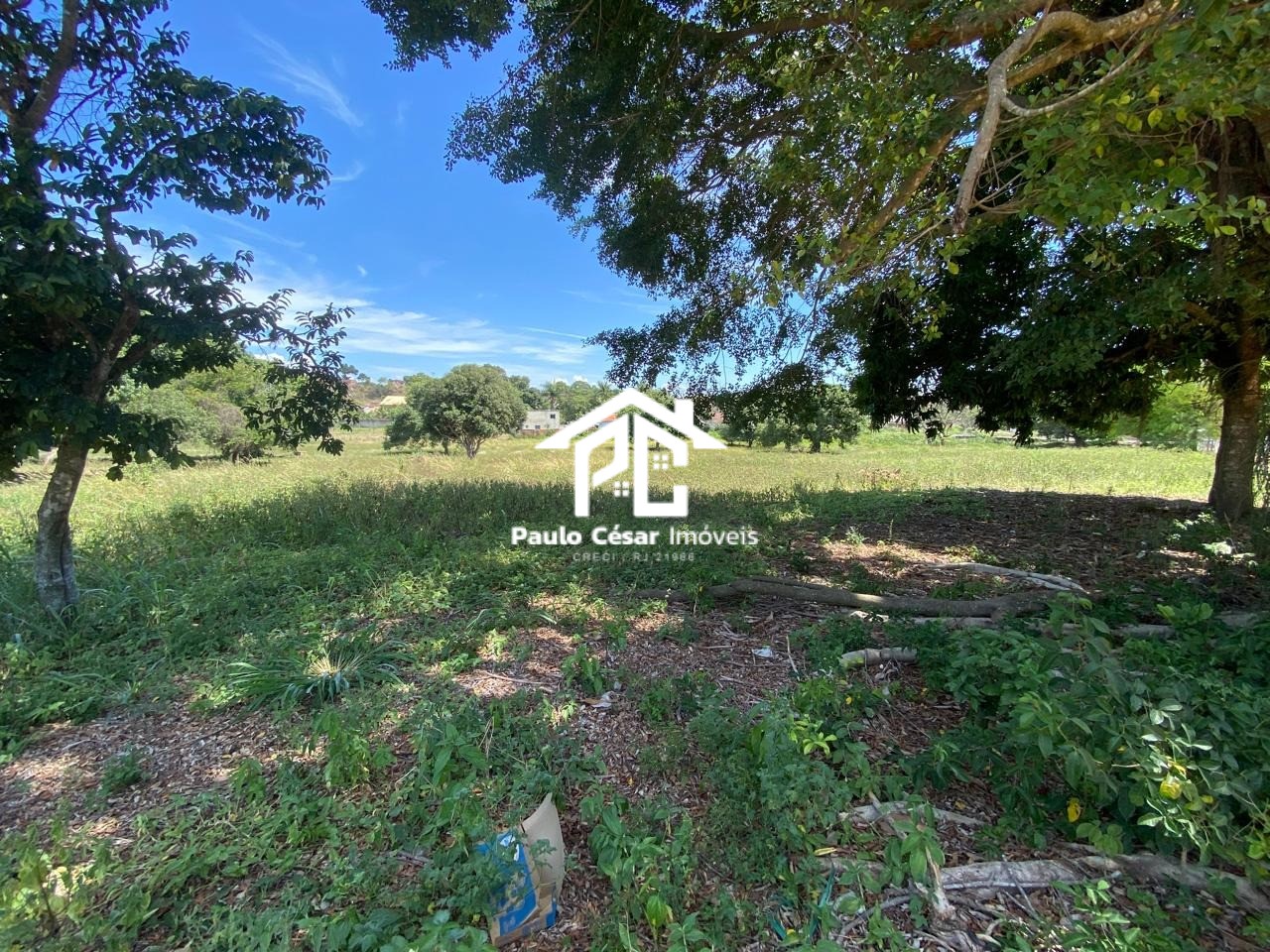 Terreno, 2 hectares - Foto 12