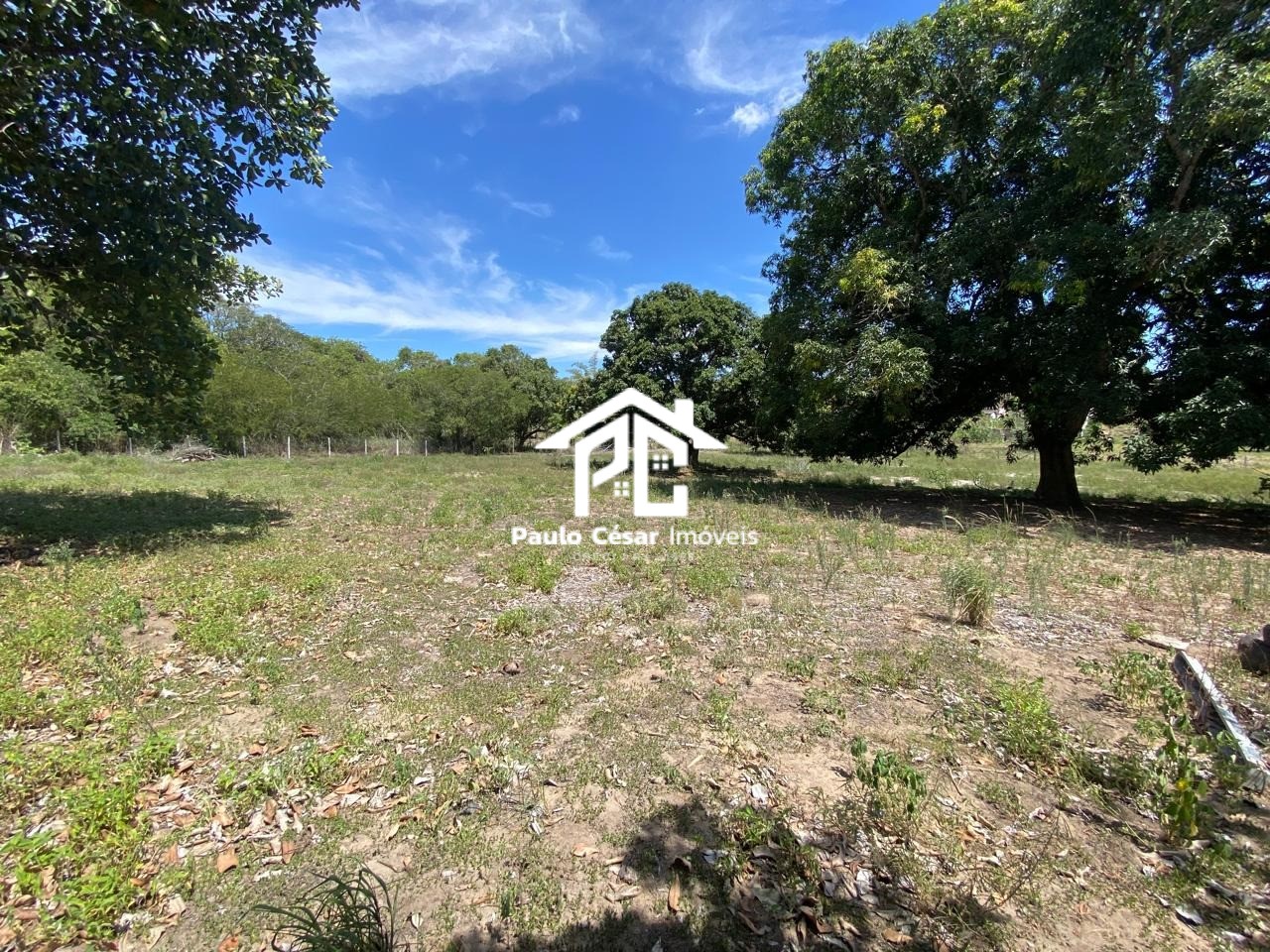 Terreno, 2 hectares - Foto 11