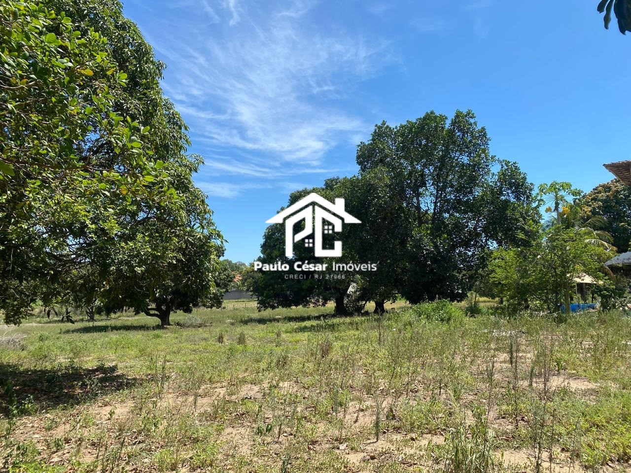 Terreno, 2 hectares - Foto 10