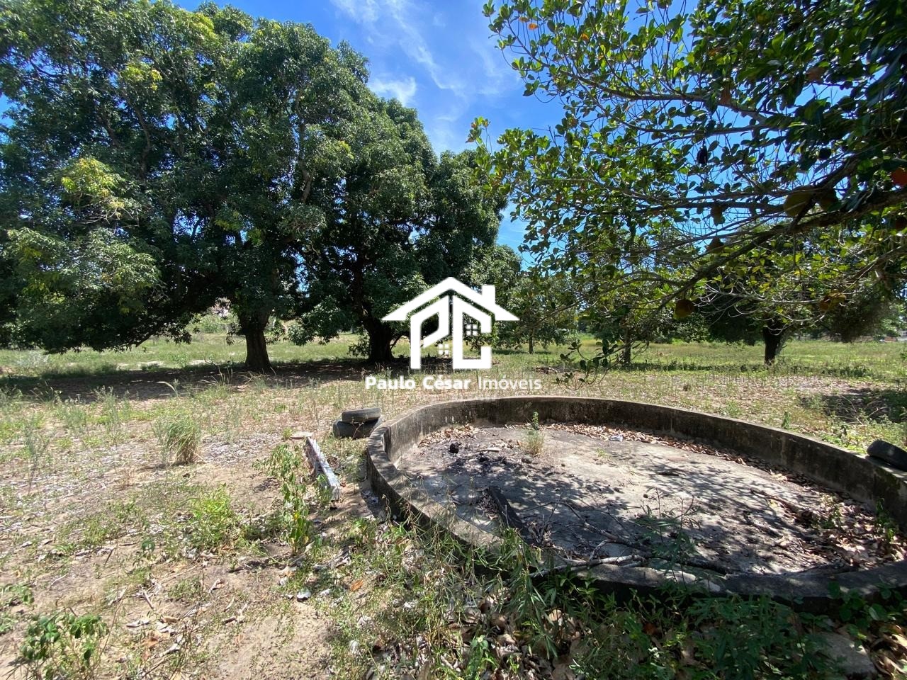 Terreno, 2 hectares - Foto 15