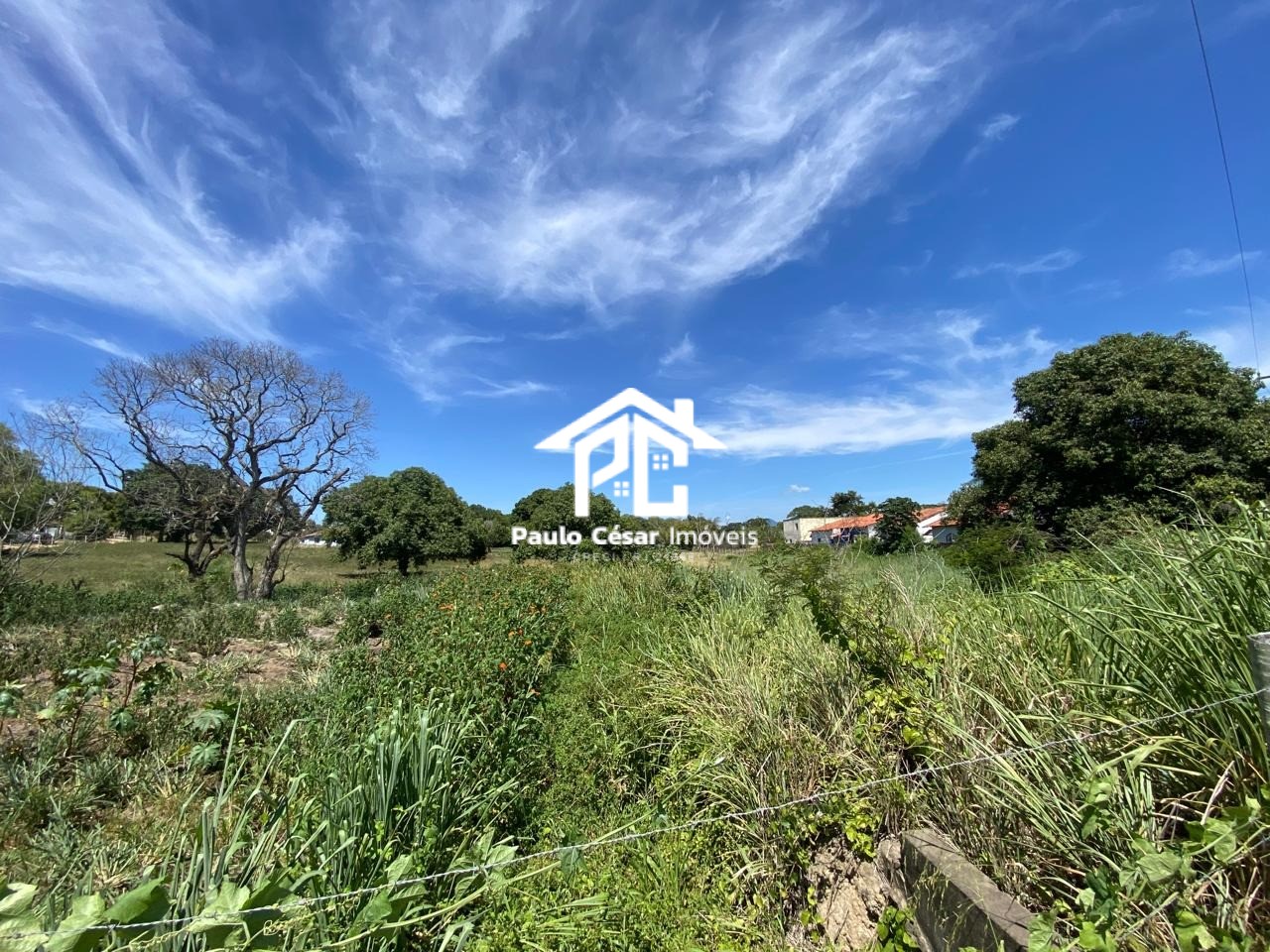 Terreno, 2 hectares - Foto 6