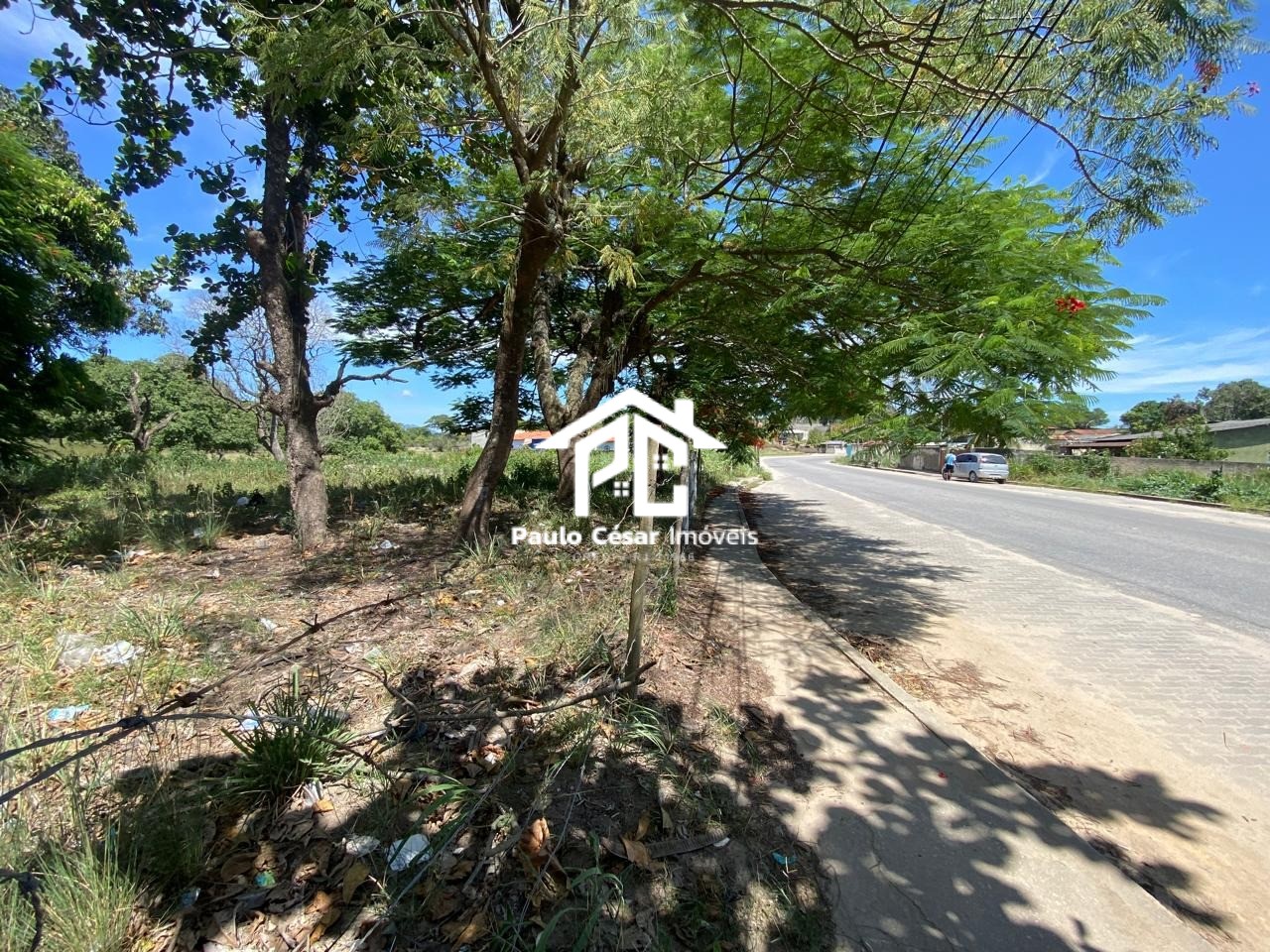 Terreno, 2 hectares - Foto 8