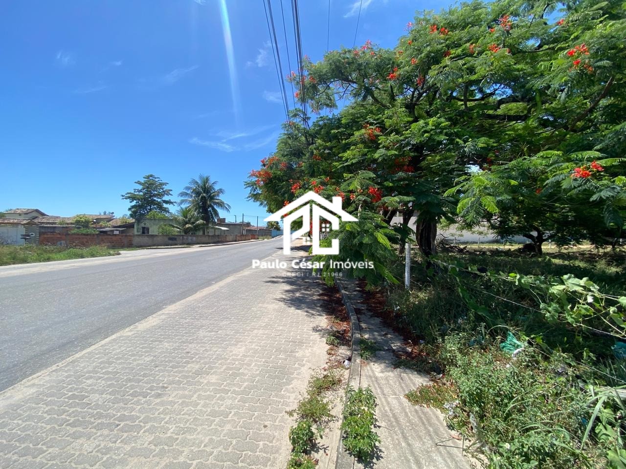 Terreno, 2 hectares - Foto 4