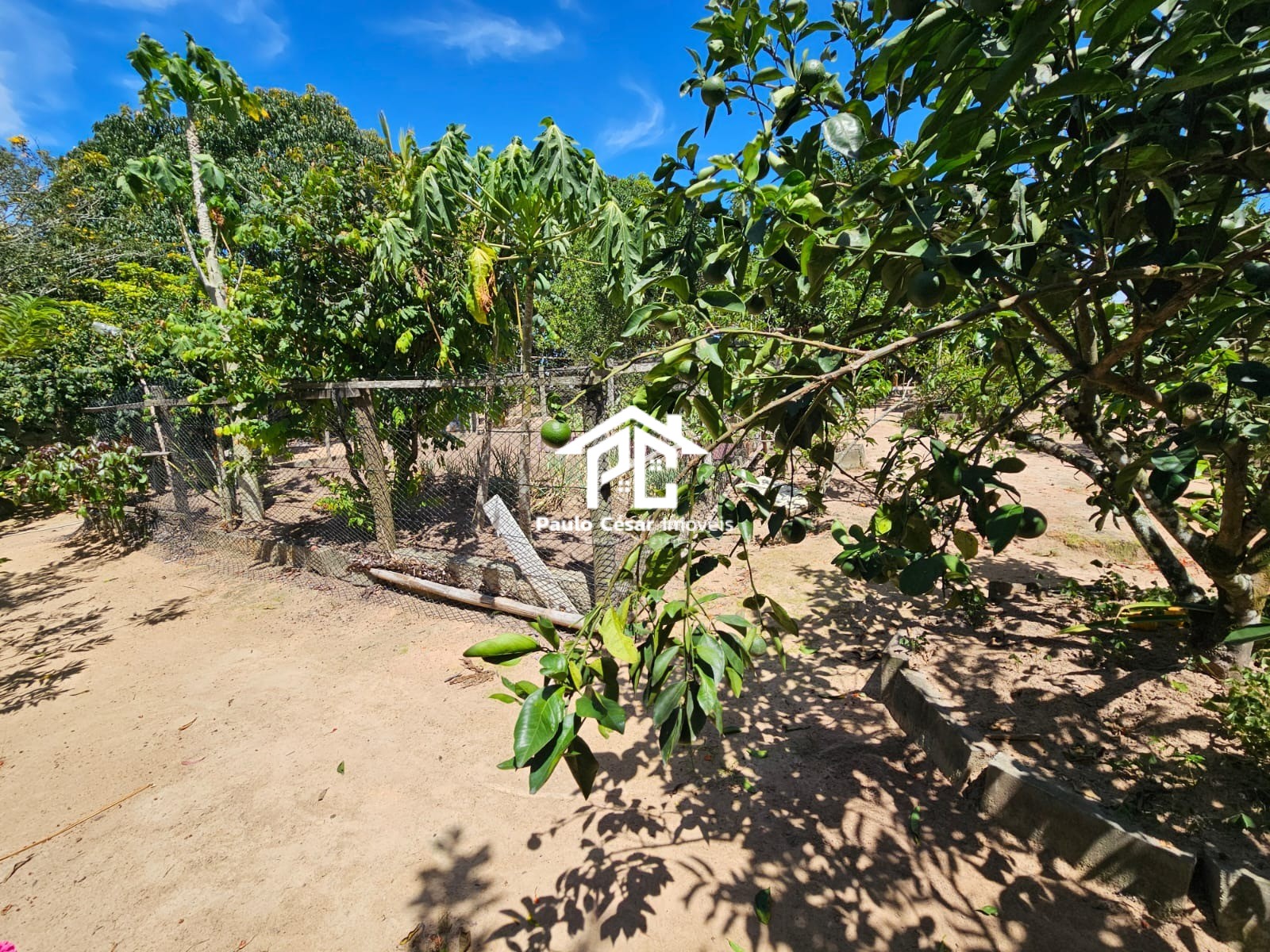 Terreno, 720 m² - Foto 7