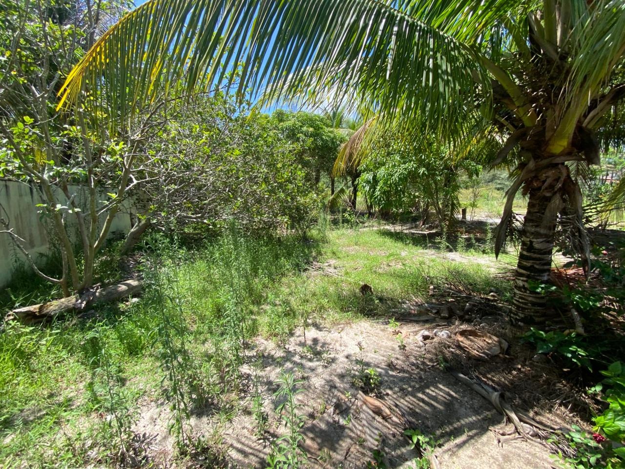 Terreno, 450 m² - Foto 11