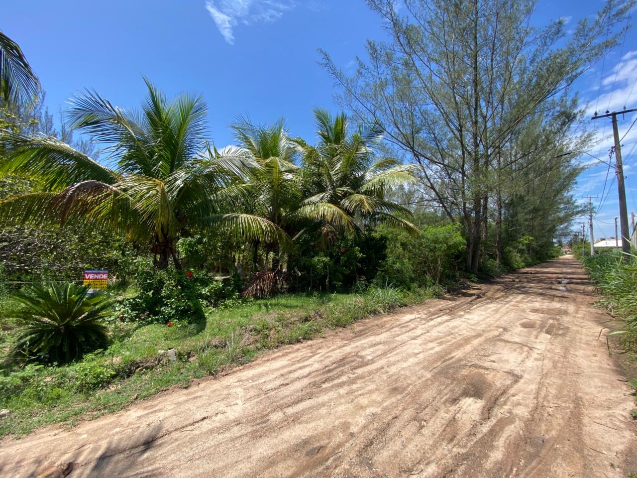 Terreno, 450 m² - Foto 9