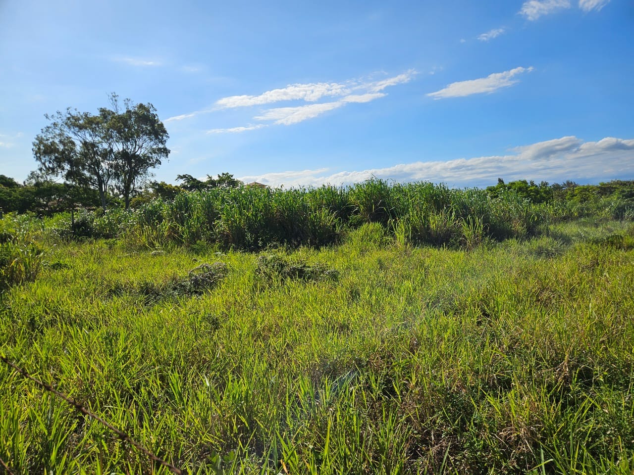 Terreno, 600 m² - Foto 9