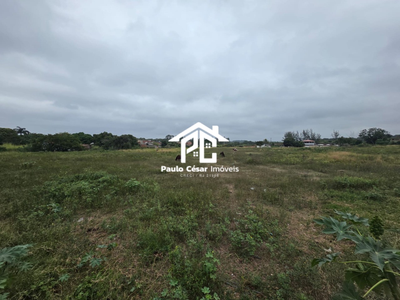 Terreno, 3 hectares - Foto 2