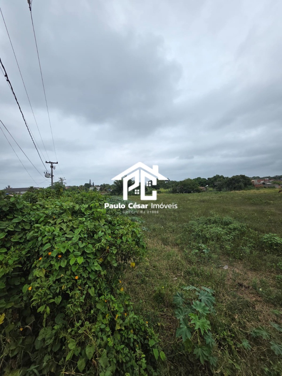 Terreno, 3 hectares - Foto 6
