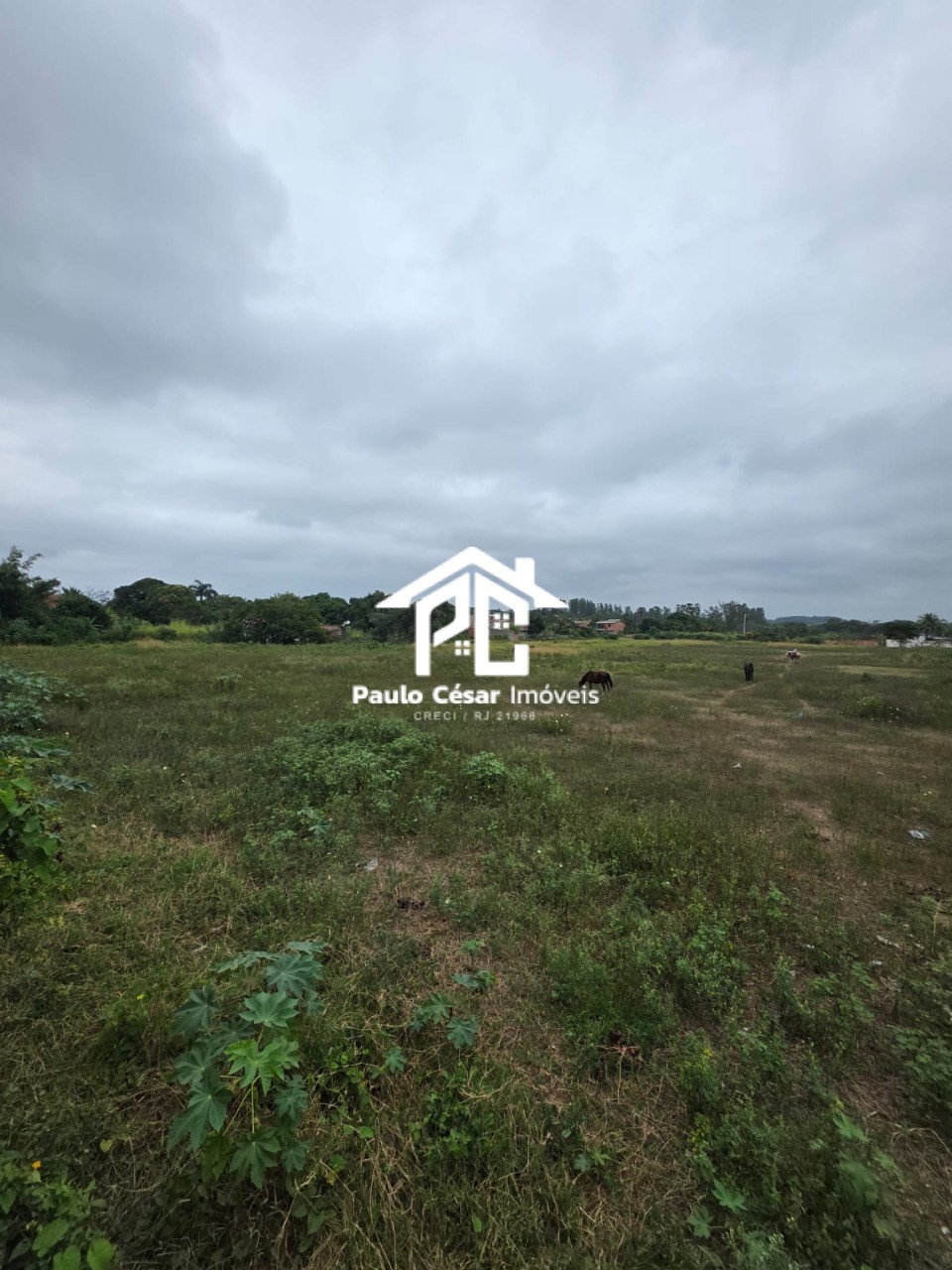 Terreno, 3 hectares - Foto 10