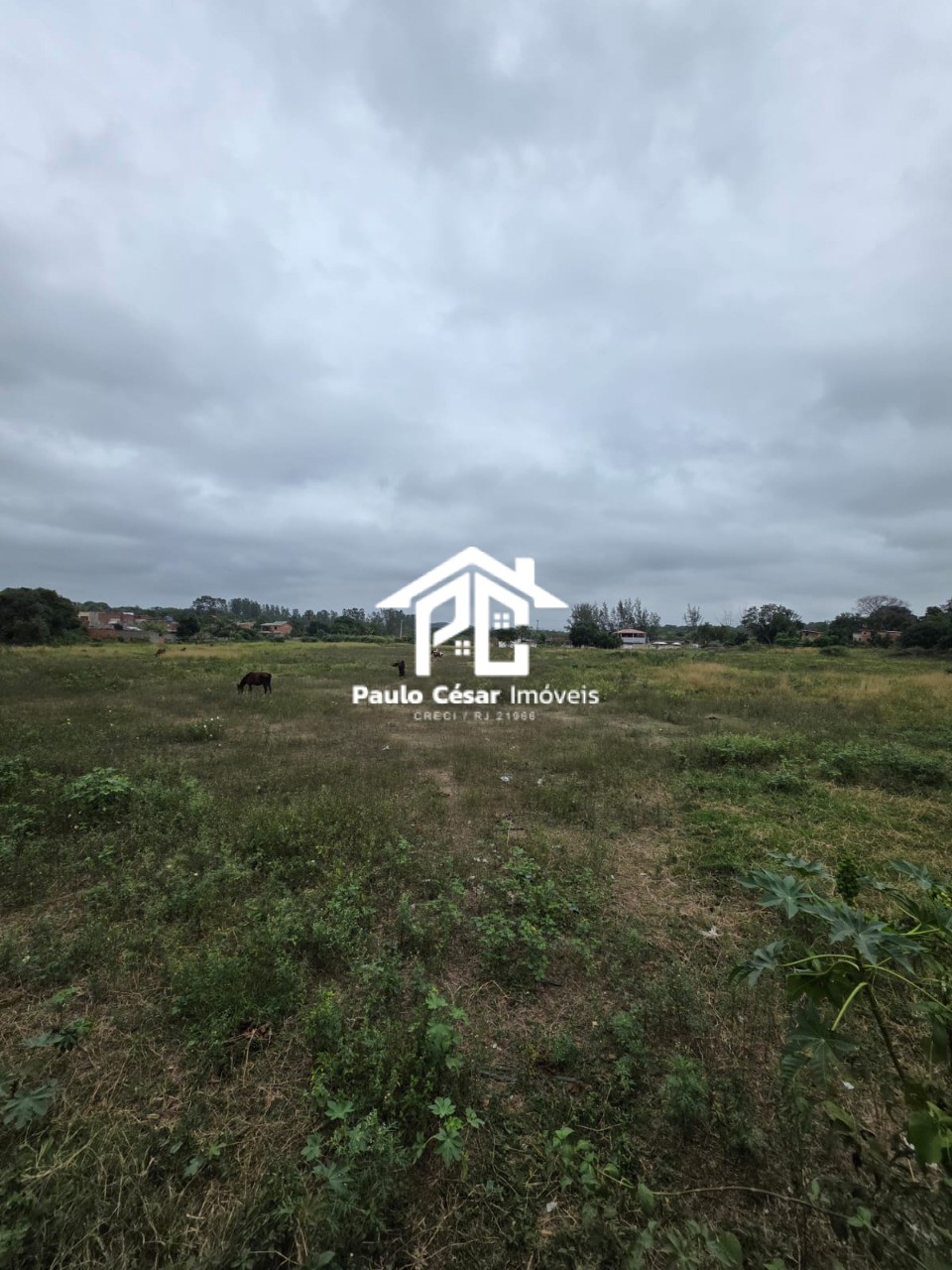 Terreno, 3 hectares - Foto 4