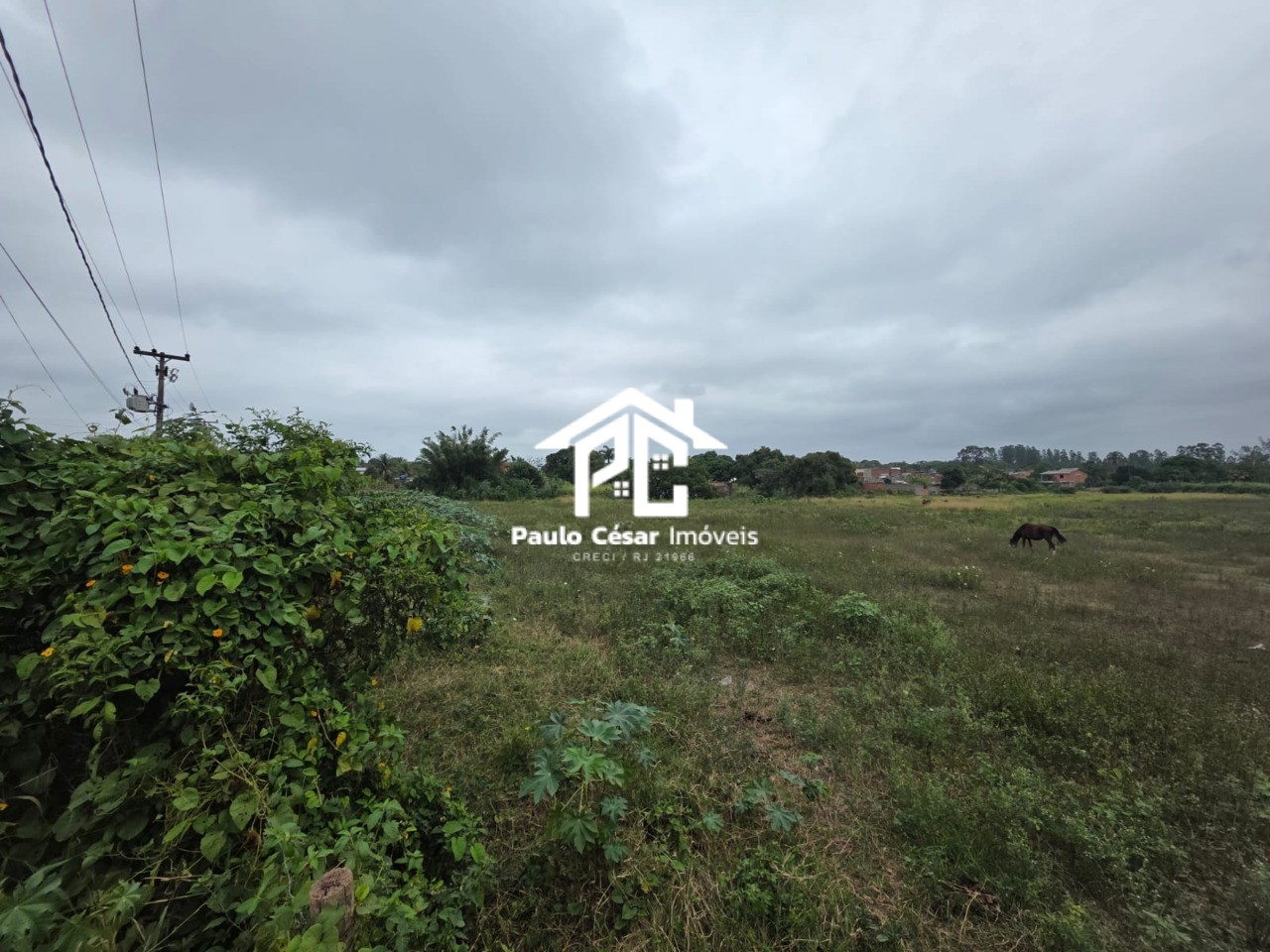 Terreno, 3 hectares - Foto 7