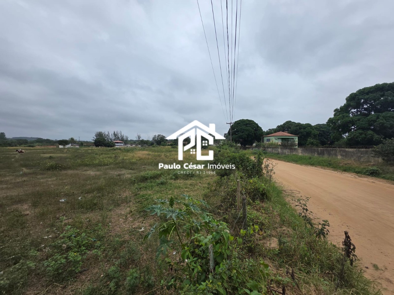Terreno, 3 hectares - Foto 9