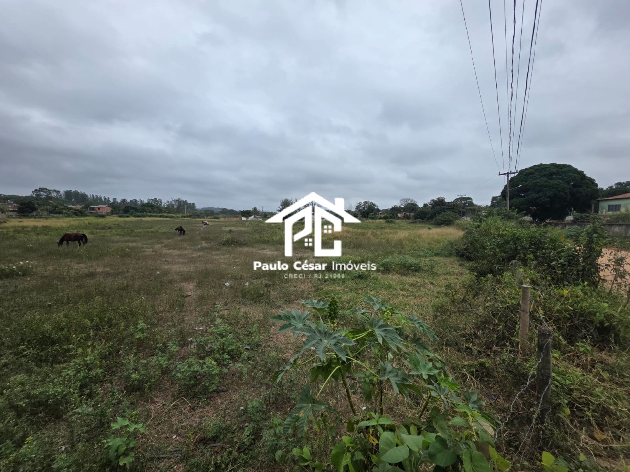 Terreno, 3 hectares - Foto 3