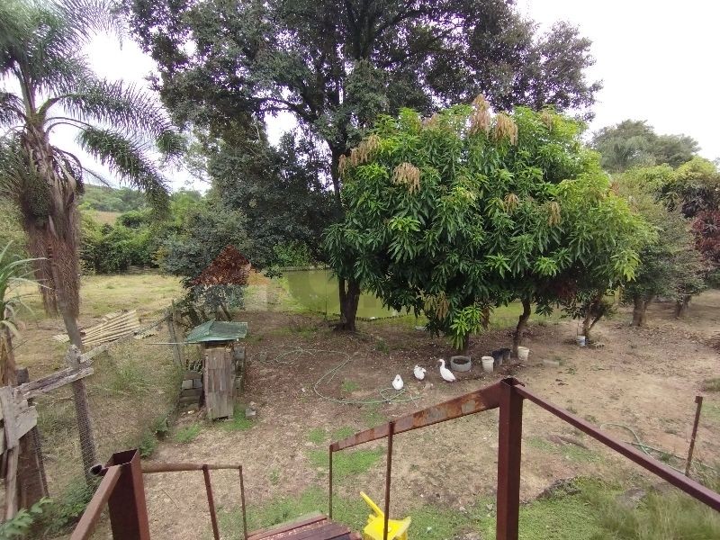 Foto 14