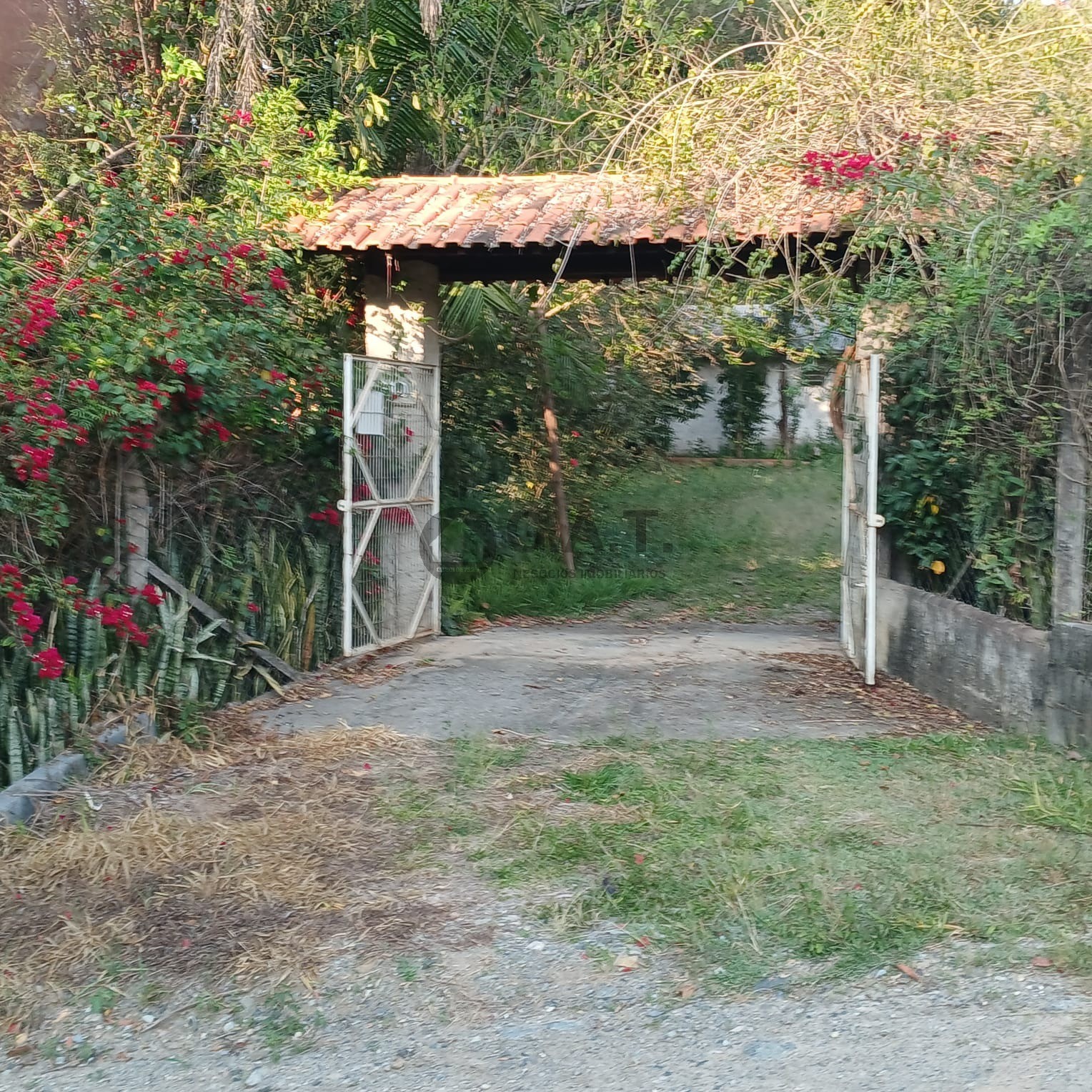 Foto 2