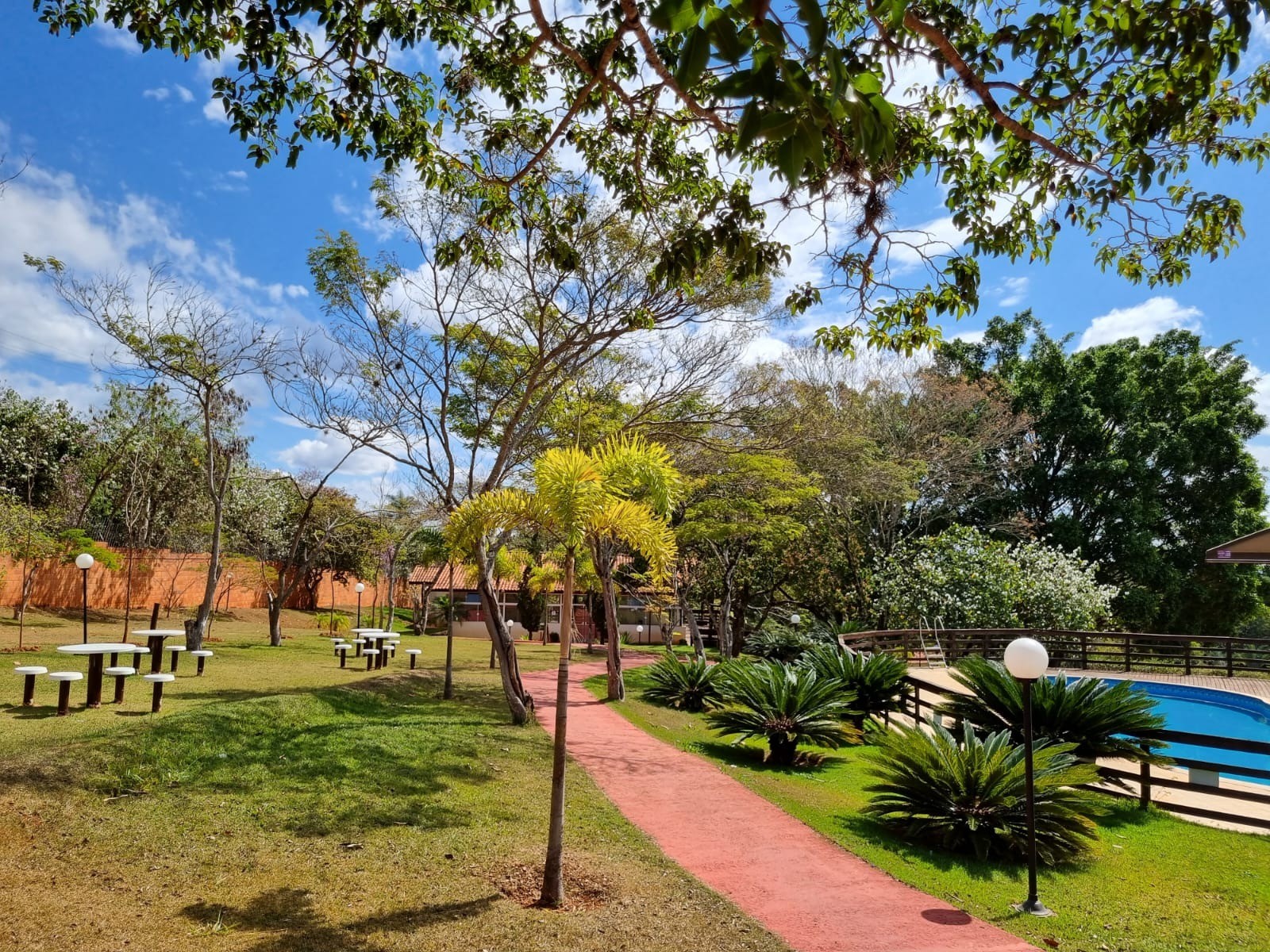 Foto 6
