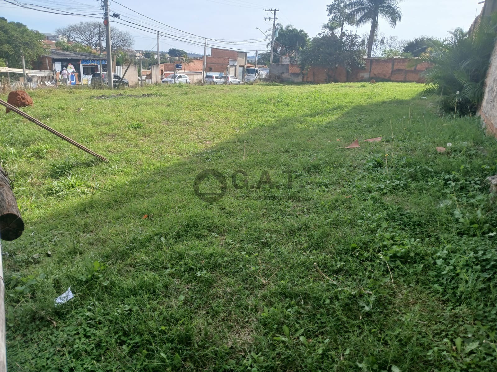 Foto 6