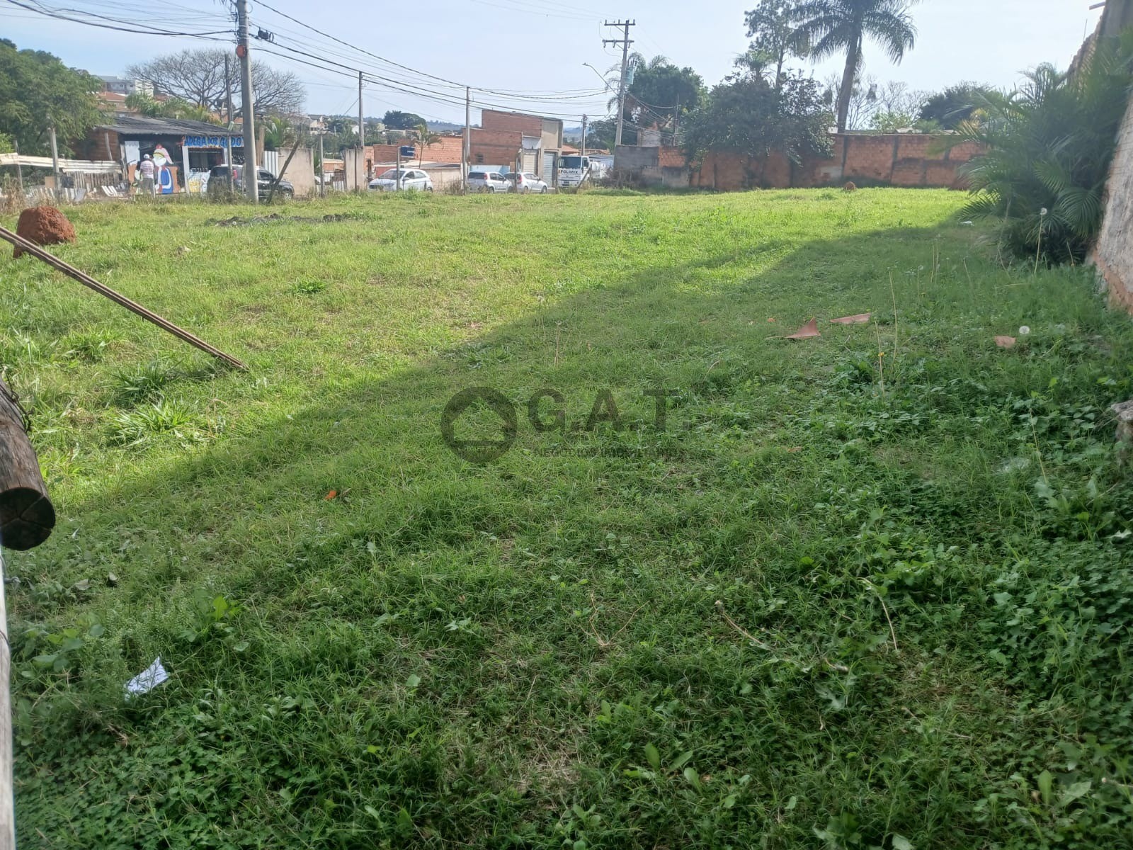 Foto 6