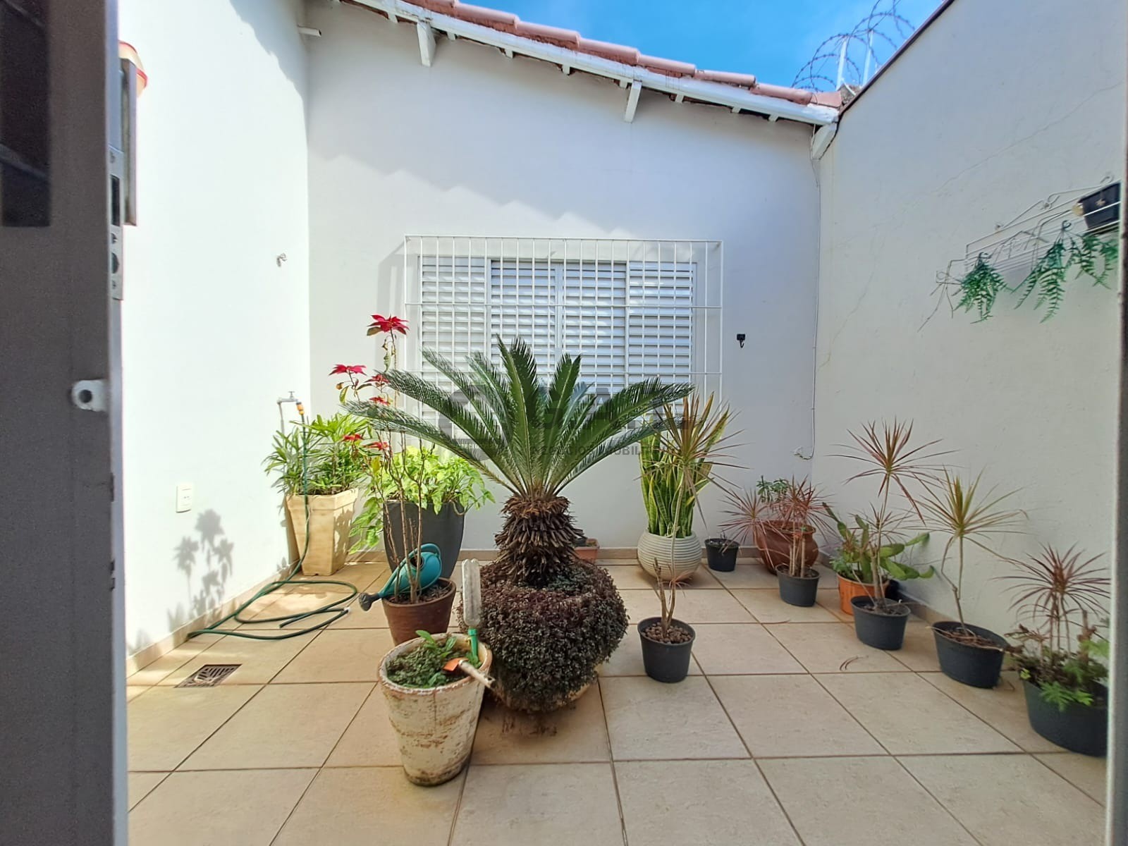 Foto 10