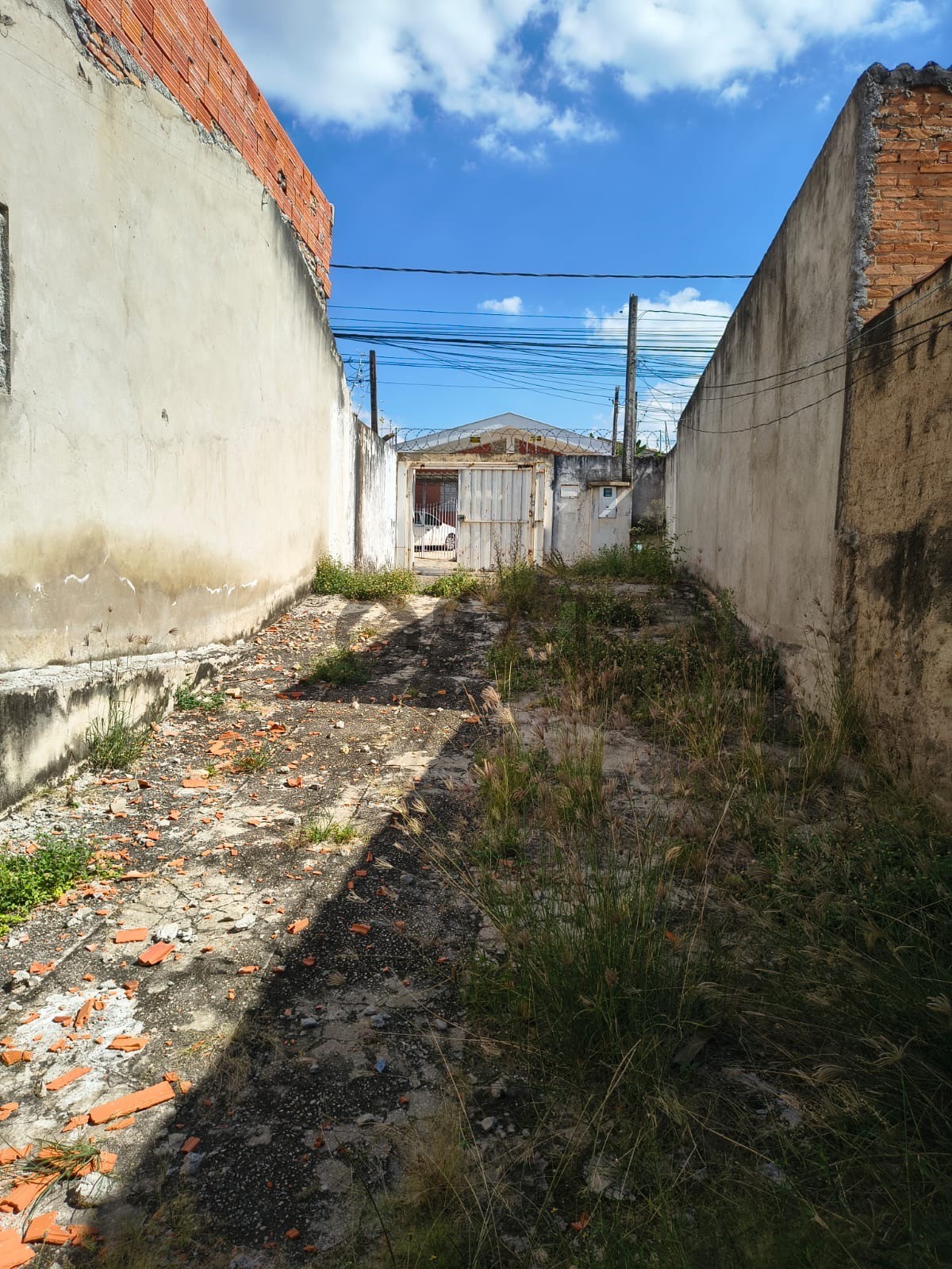 Foto 8