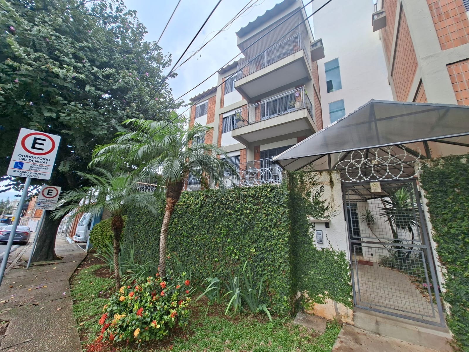 Foto 2