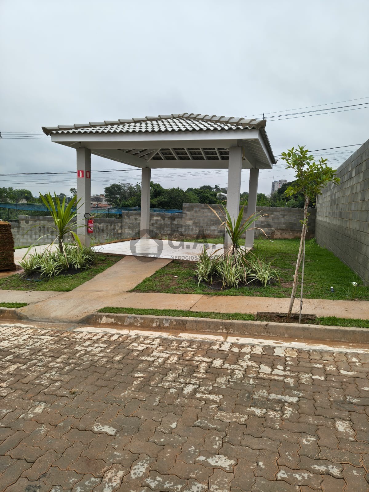 Foto 12