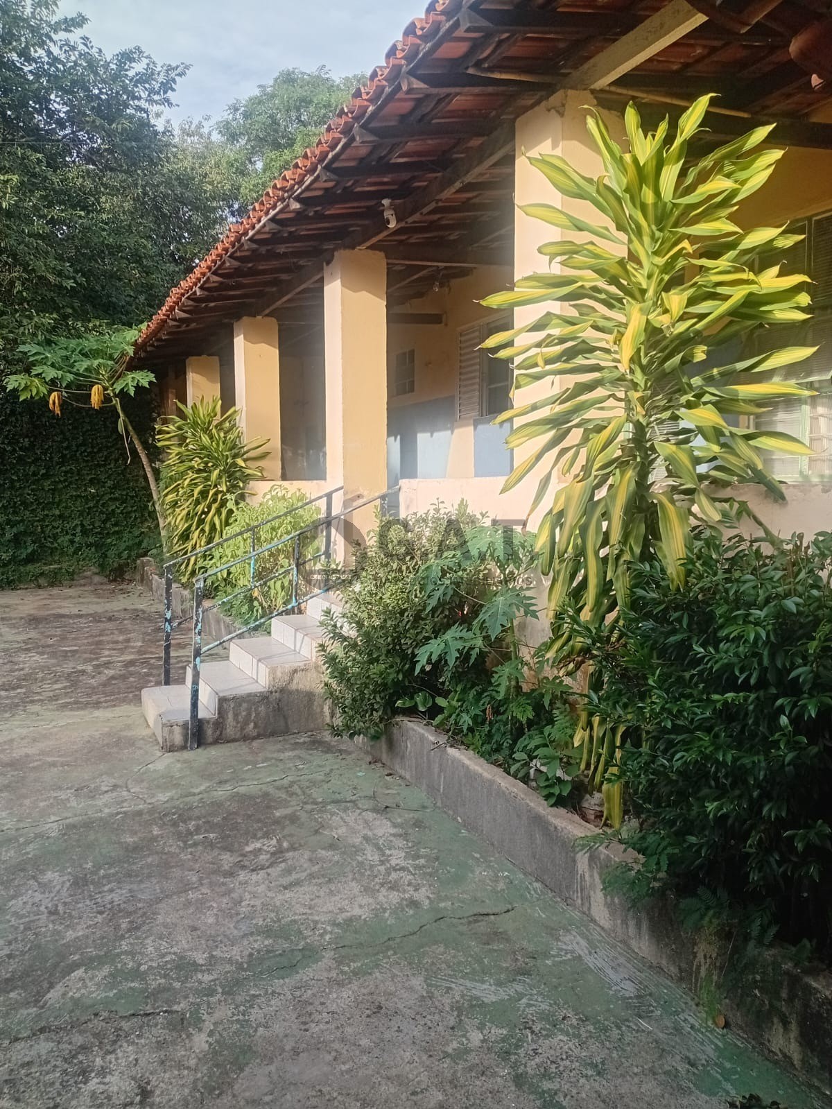 Foto 1