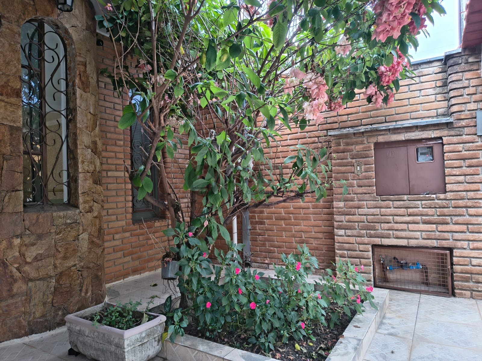 Foto 8