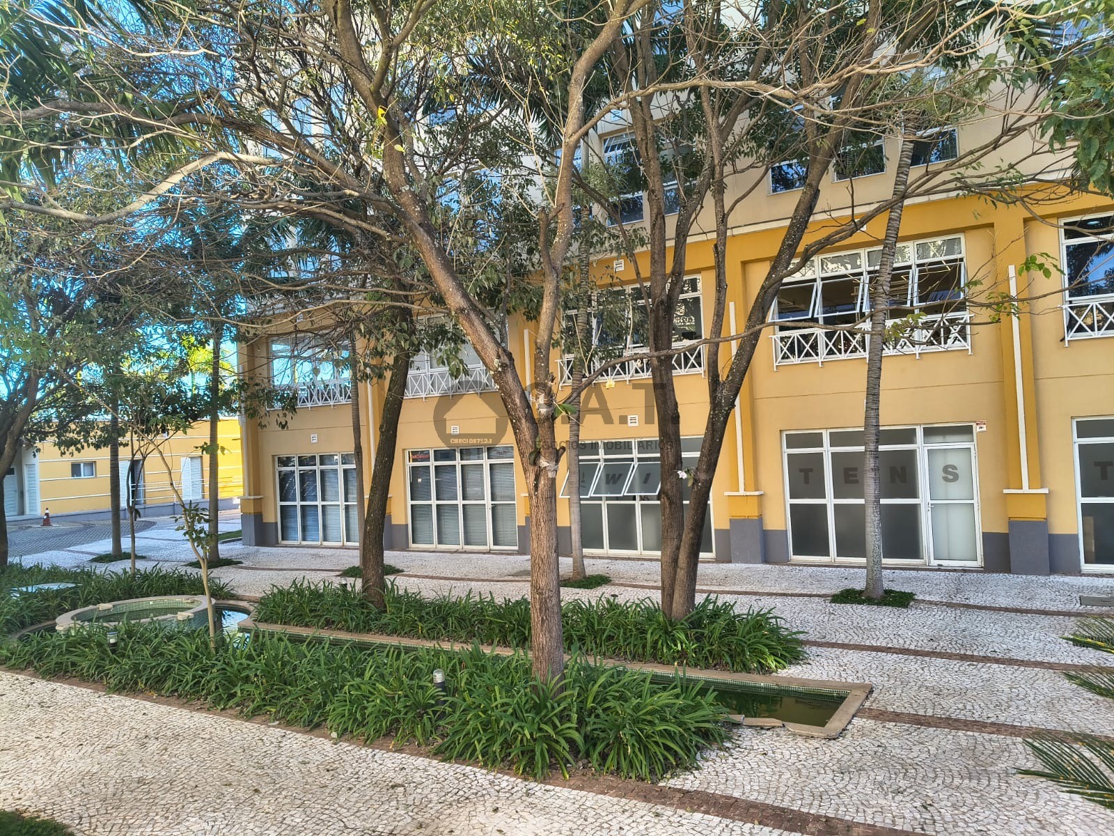 Foto 15