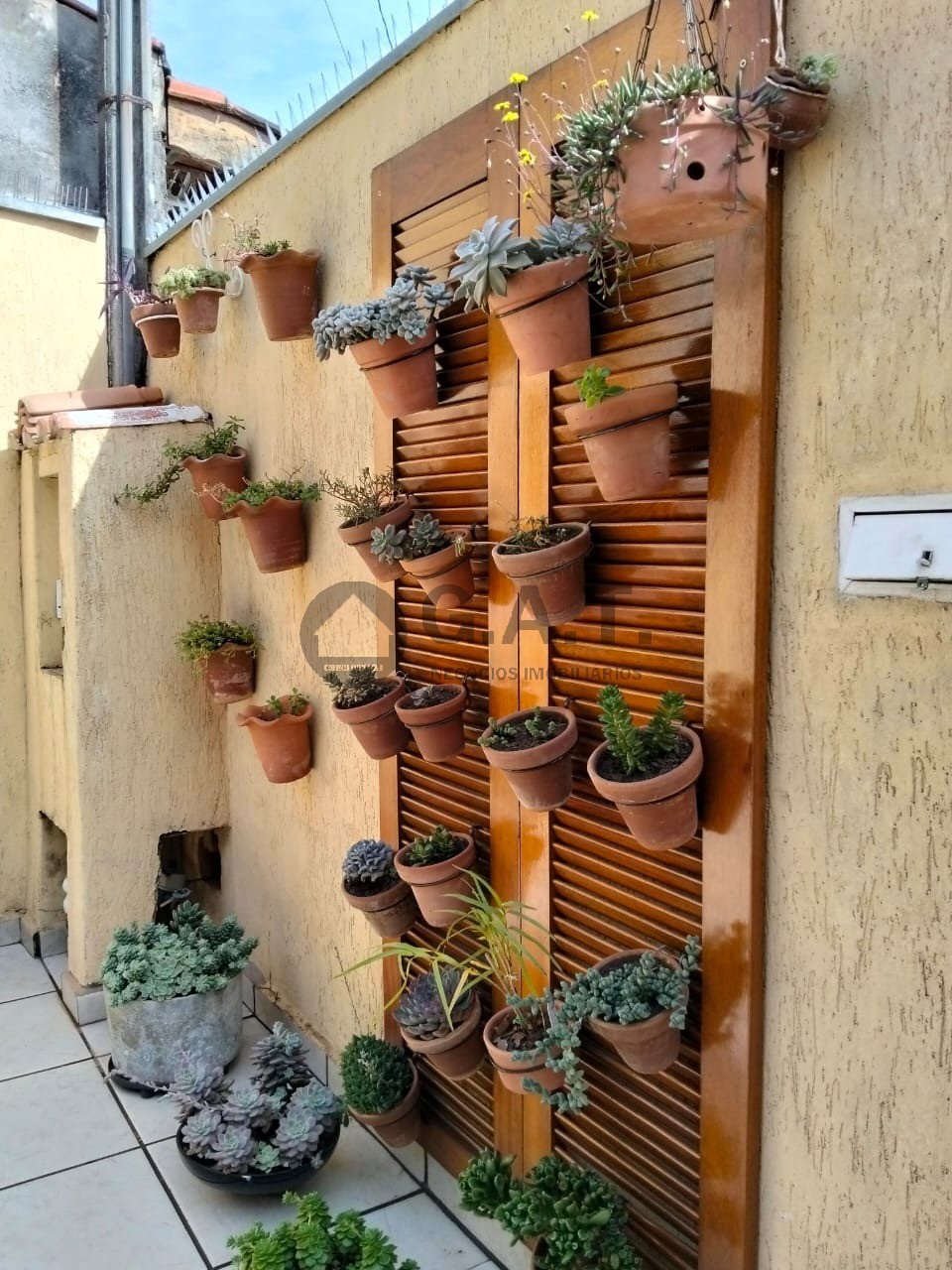 Foto 6