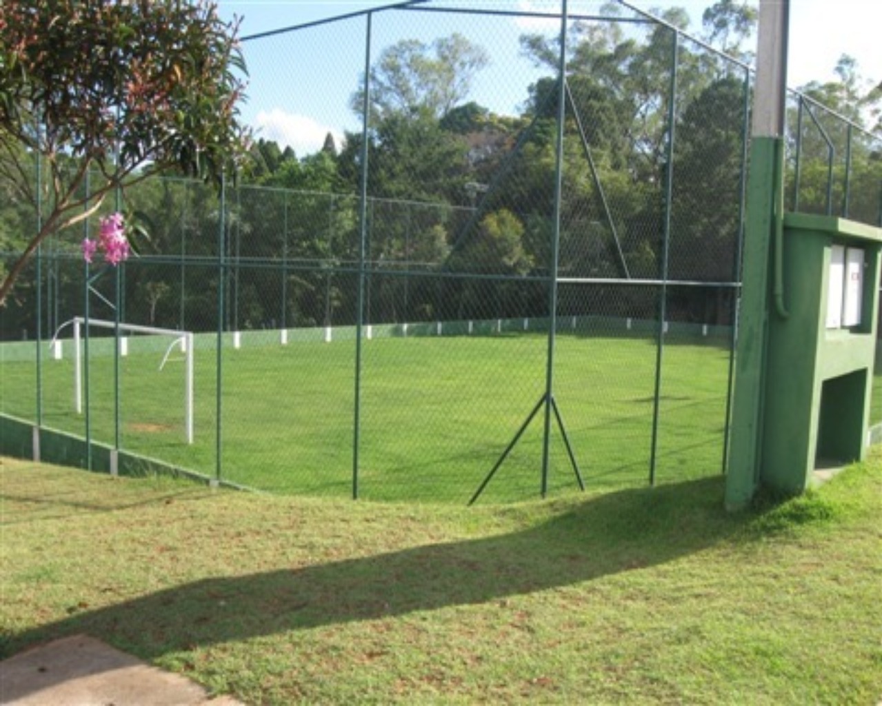 Foto 7
