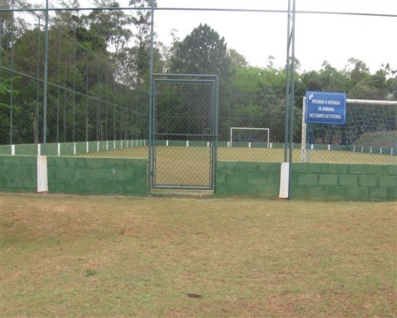 Foto 10