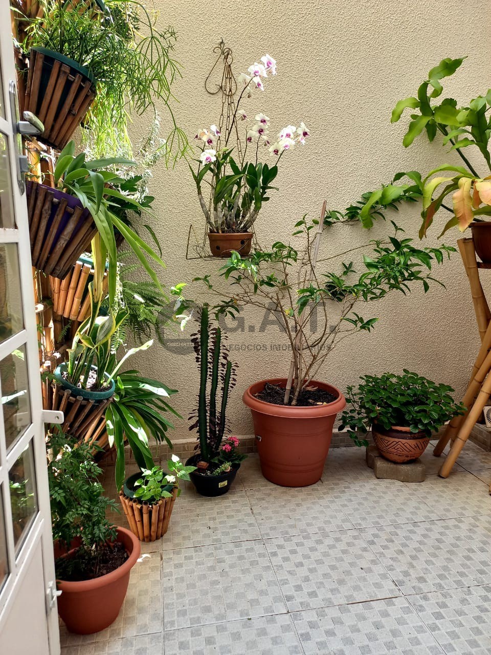Foto 13