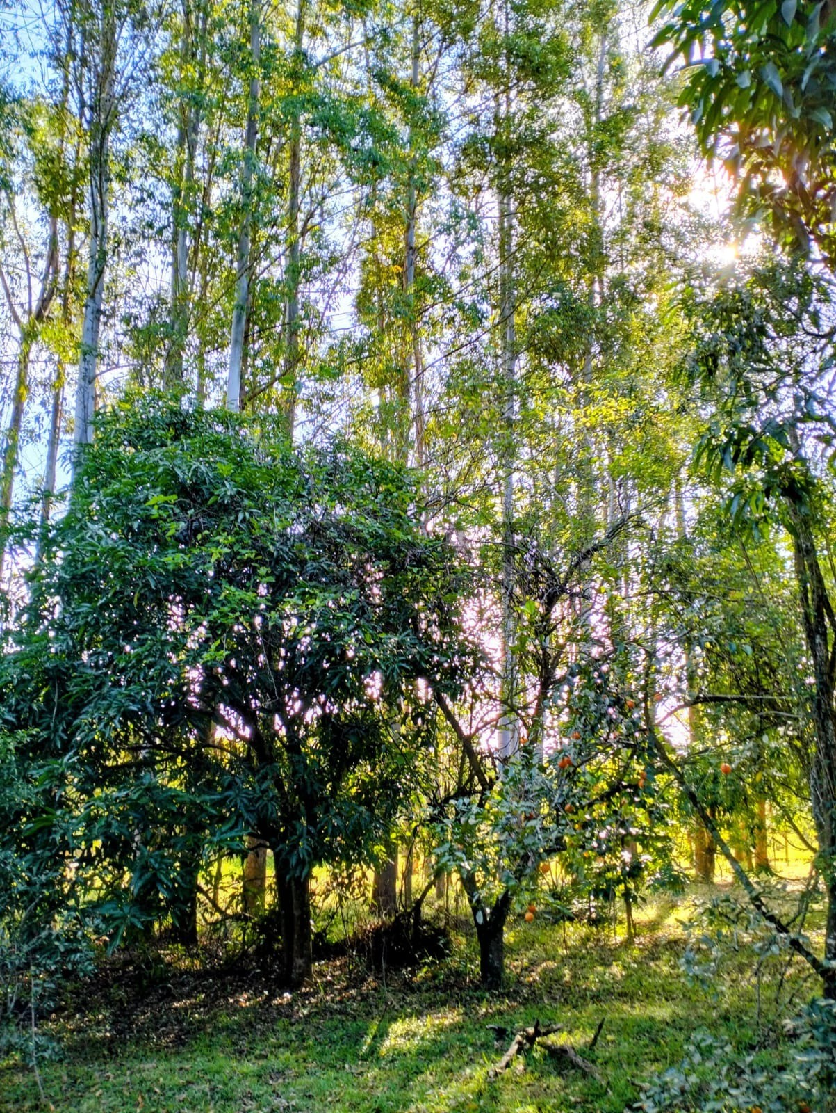Foto 14