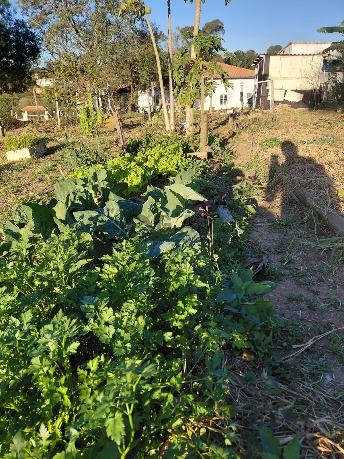 Foto 14