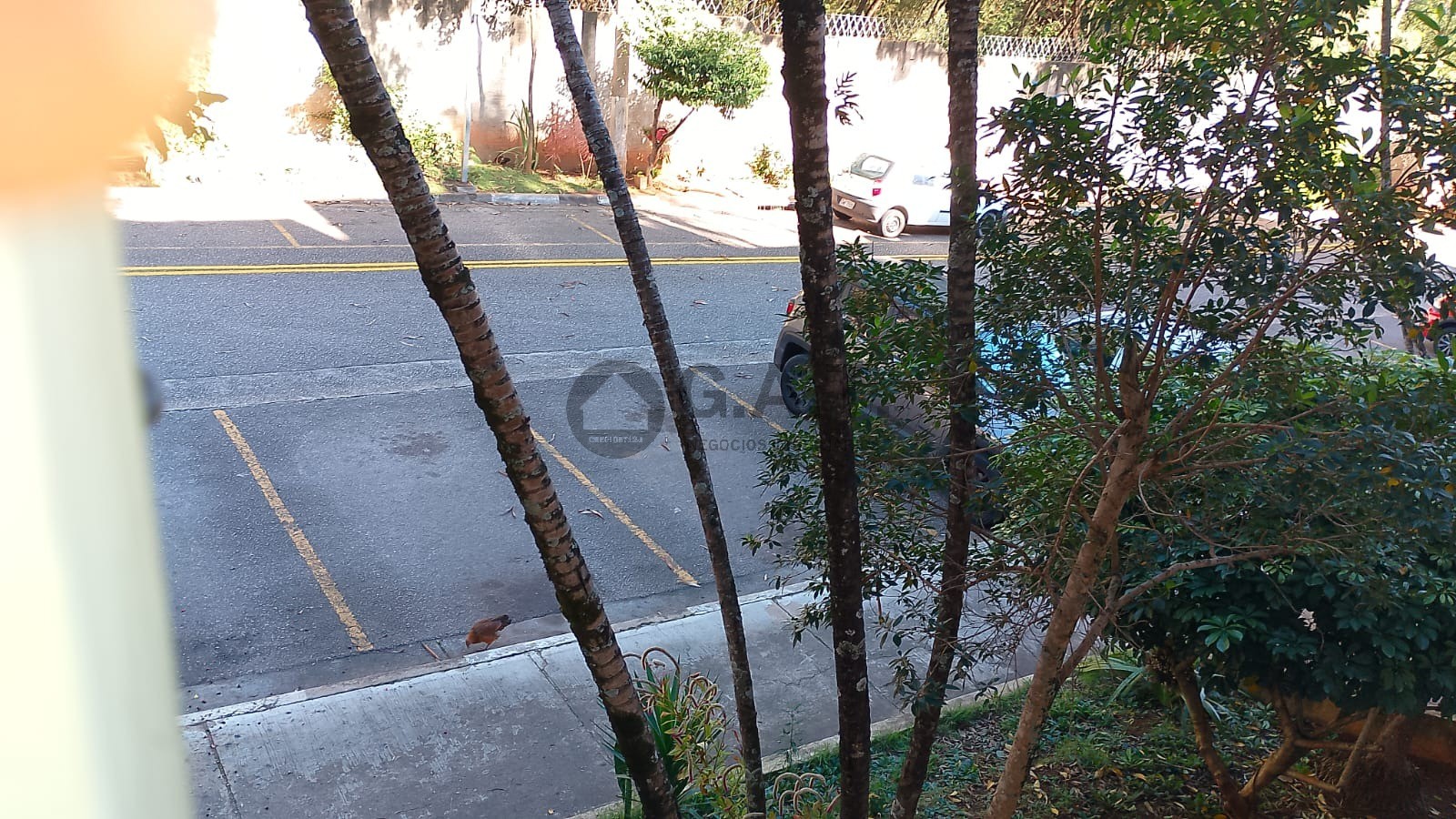 Foto 13