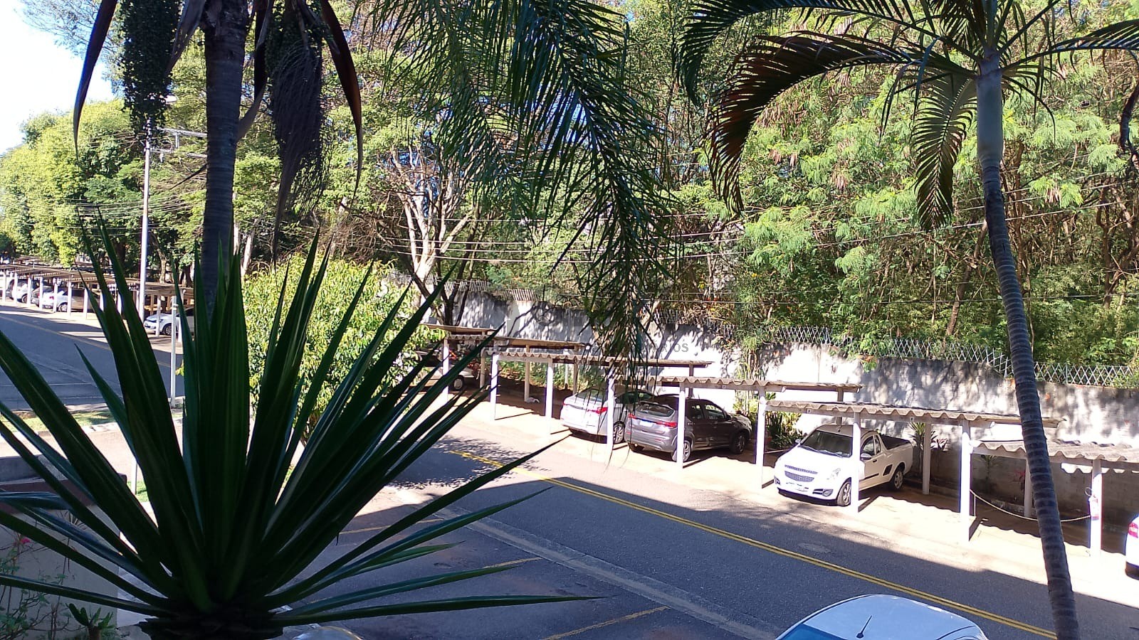 Foto 12
