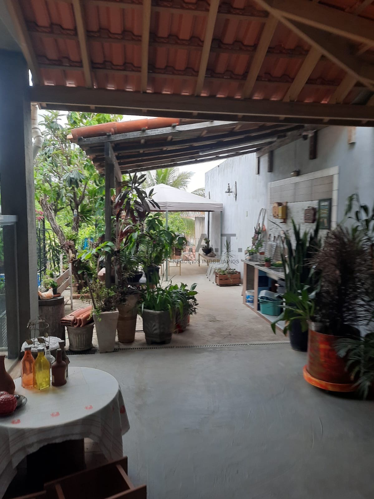 Foto 14