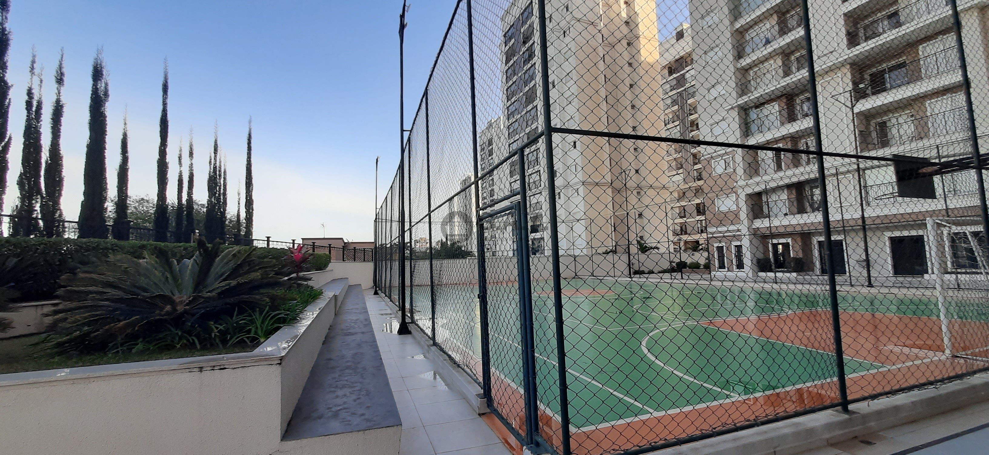 Foto 7