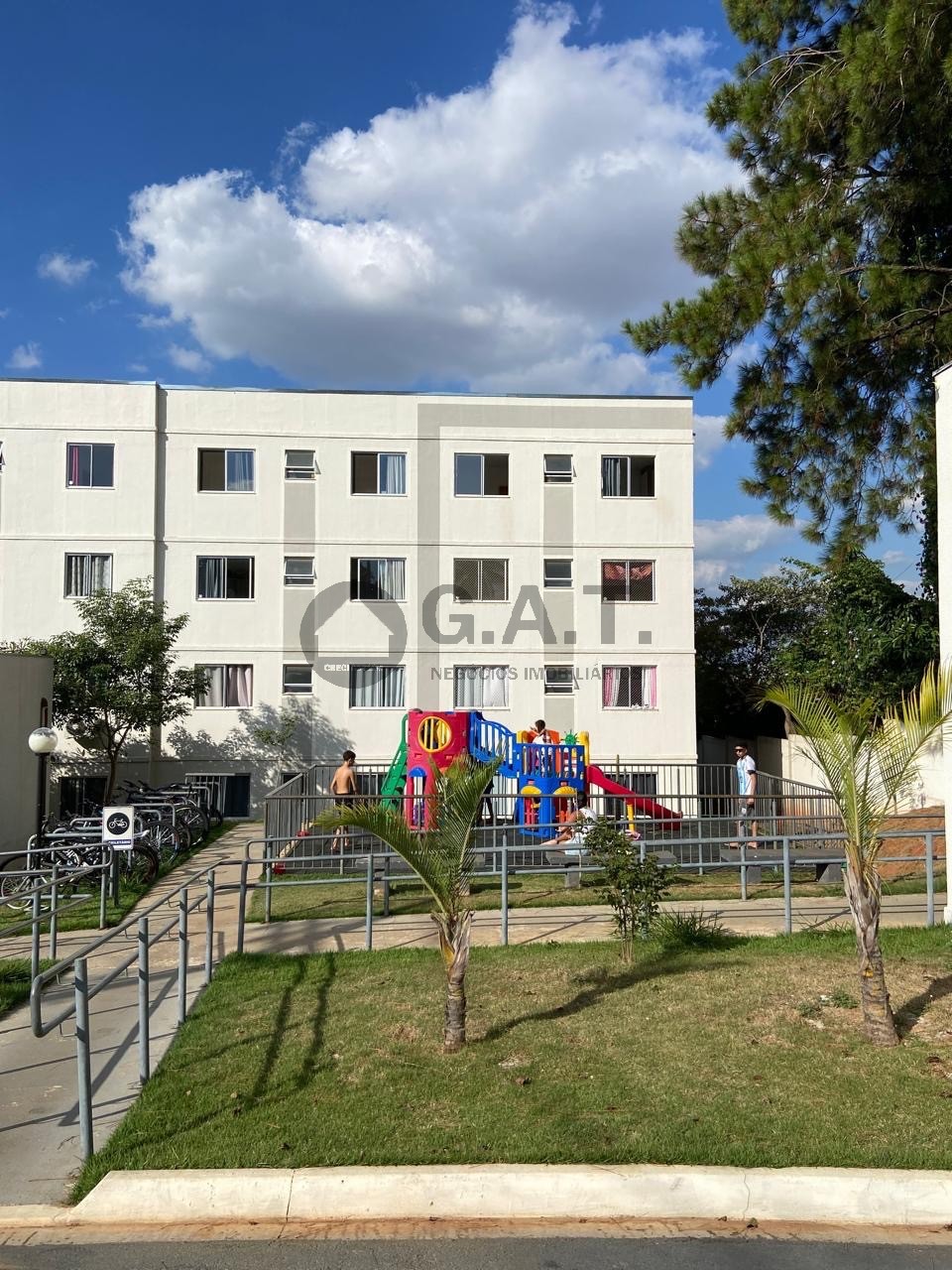 Foto 5
