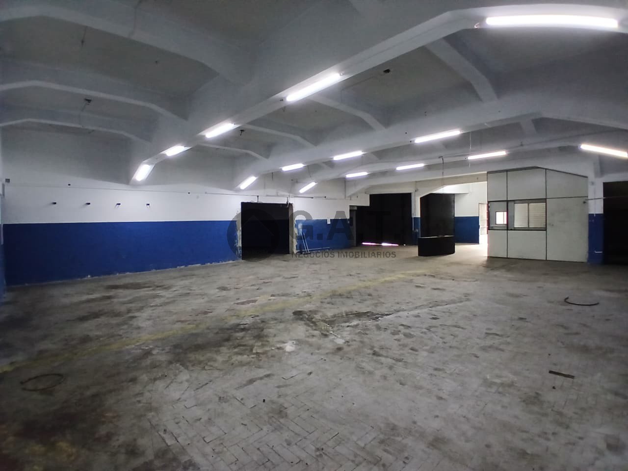 Foto 7