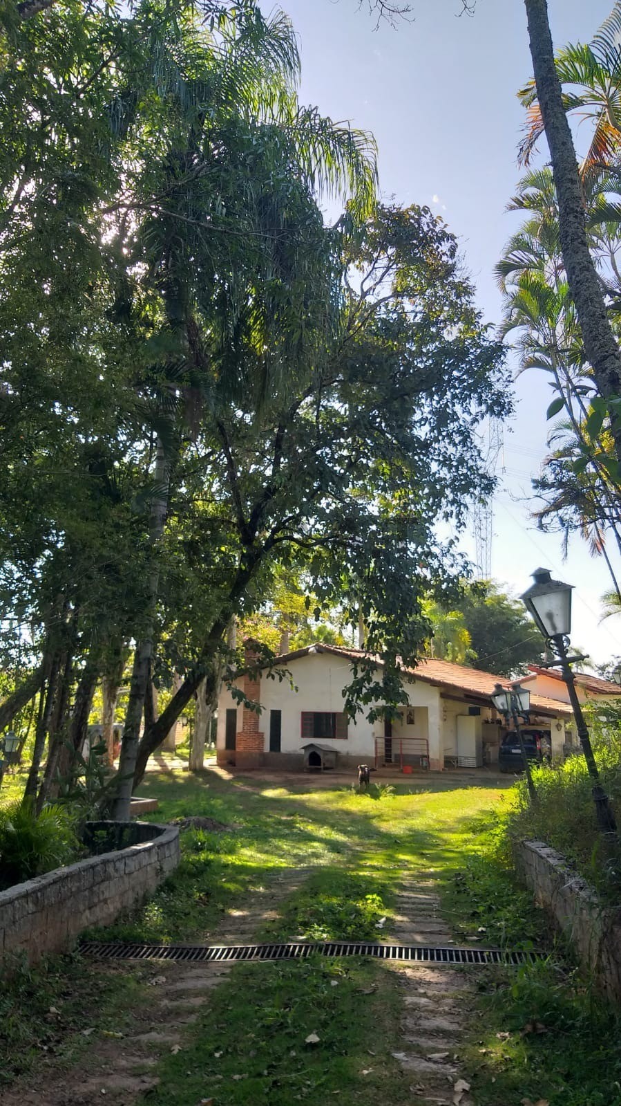 Foto 3