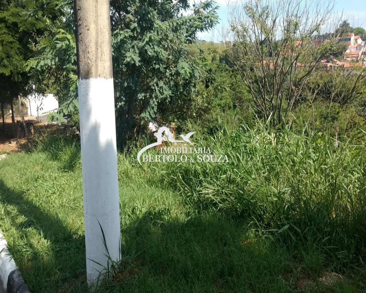 Terreno em Nova Cabreúva, CABREÚVA - Foto 2