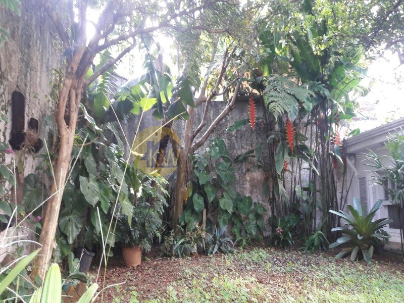 Casa, 2 quartos, 400 m² - Foto 3
