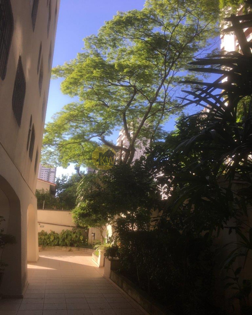 Apartamento, 4 quartos, 120 m² - Foto 5