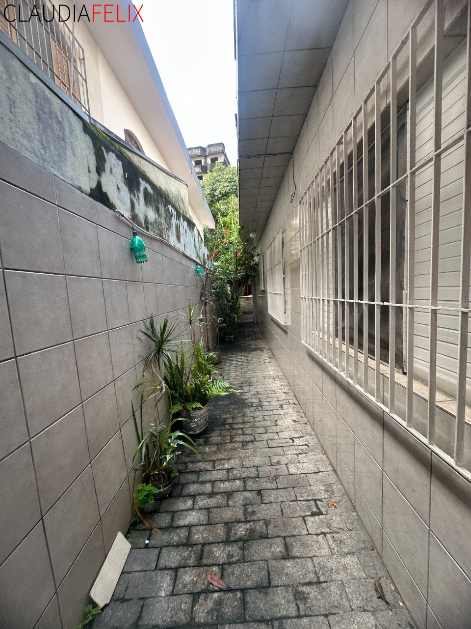 Casa, 3 quartos - Foto 55