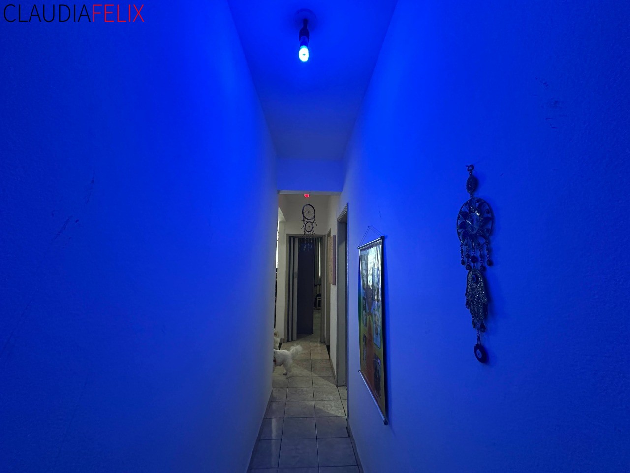 Apartamento, 1 quarto, 52 m² - Foto 4