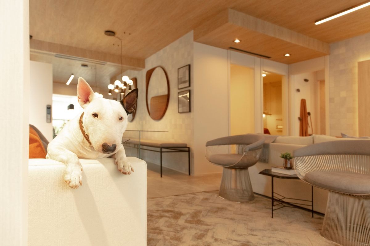 Apartamento, 1 quarto, 35 m² - Foto 23