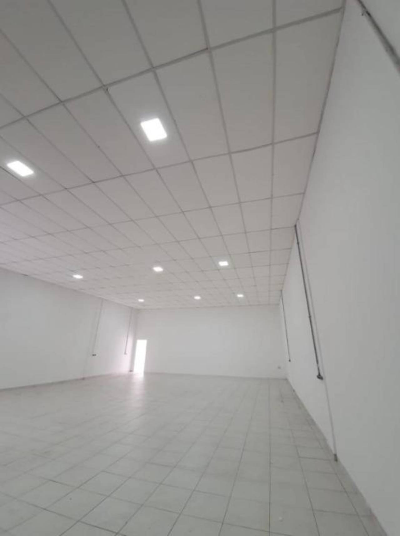 Prédio Inteiro, 312 m² - Foto 4